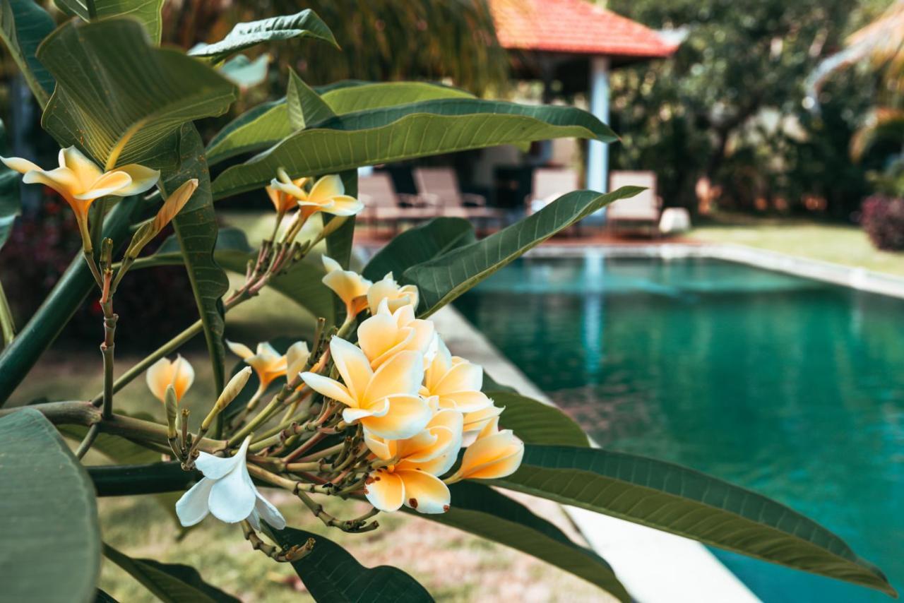 Bali Mynah Villas Resort Jimbaran Extérieur photo